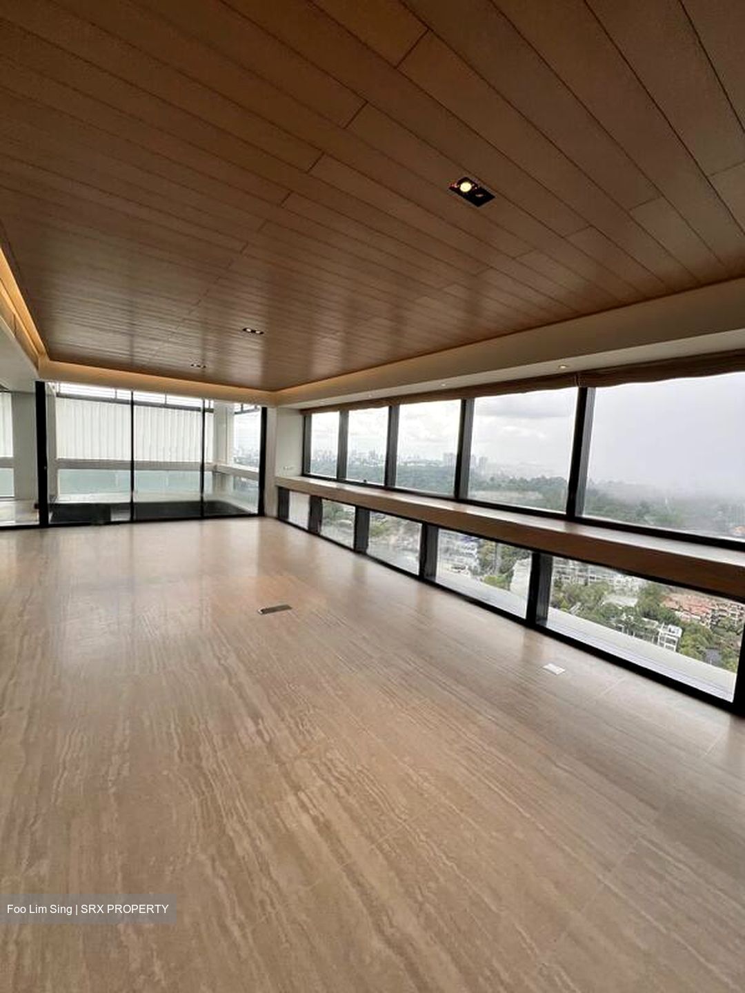 Hana (D10), Condominium #459773851